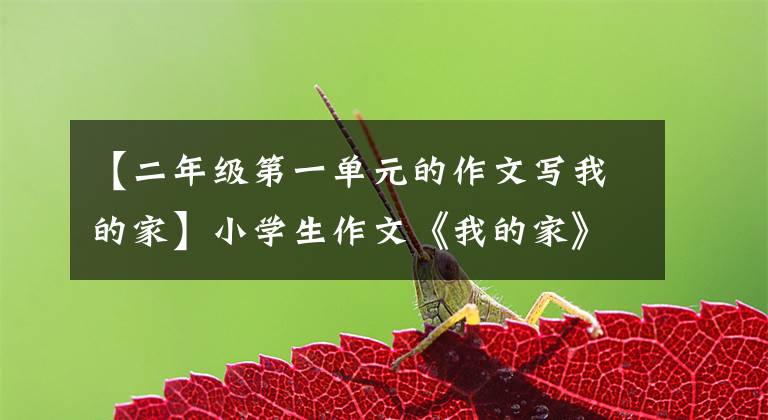【二年级第一单元的作文写我的家】小学生作文《我的家》美元，家人都是名著人物，就像家庭版西游记一样。