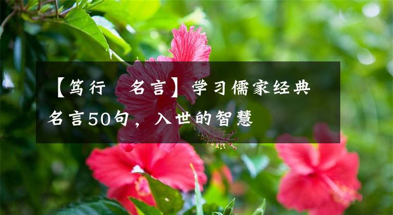 【笃行肑名言】学习儒家经典名言50句，入世的智慧