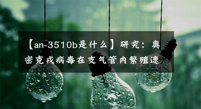 【an-3510b是什么】研究：奥密克戎病毒在支气管内繁殖速度比德尔塔快70倍