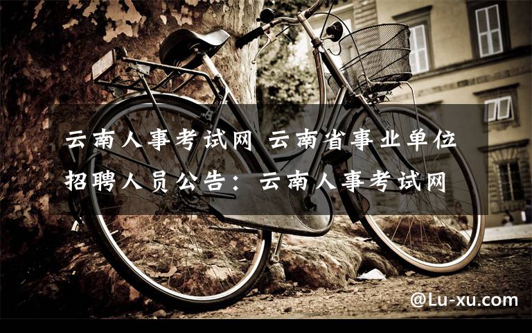 云南人事考试网 云南省事业单位招聘人员公告：云南人事考试网