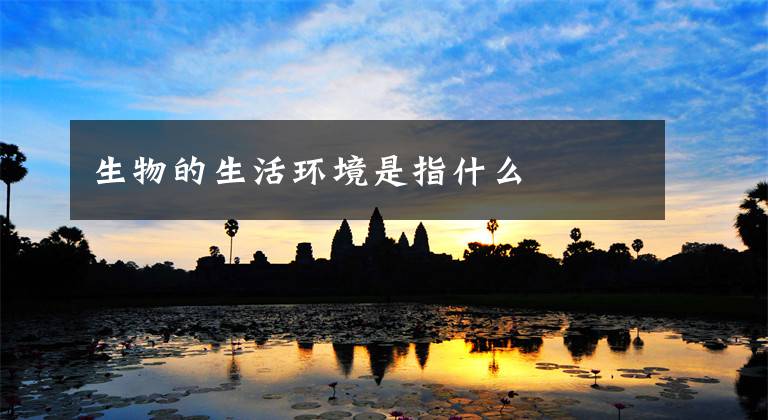 生物的生活环境是指什么