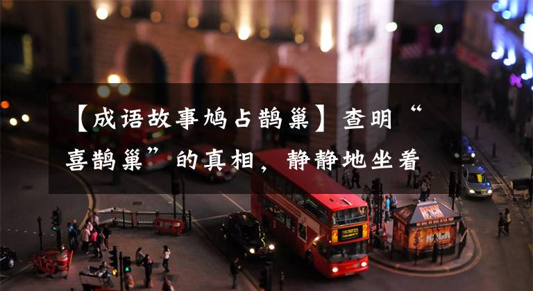 【成语故事鸠占鹊巢】查明“喜鹊巢”的真相，静静地坐着，不要惊讶！