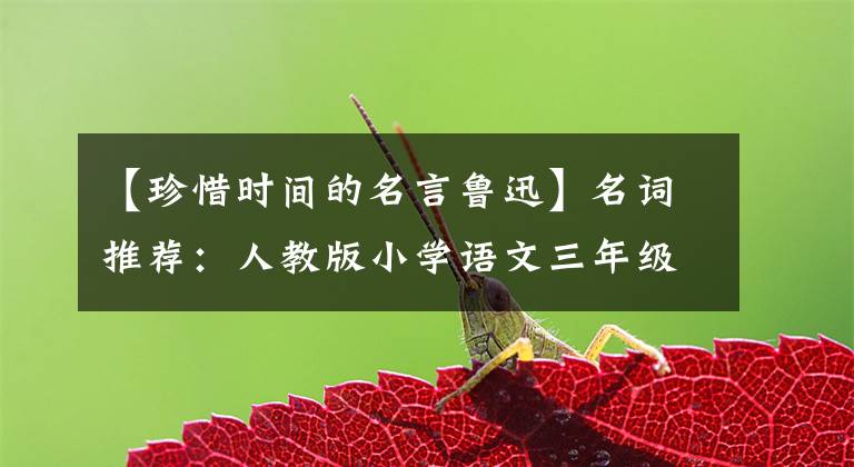 【珍惜时间的名言鲁迅】名词推荐：人教版小学语文三年级以下第十三课《和时间赛跑》学习笔记。