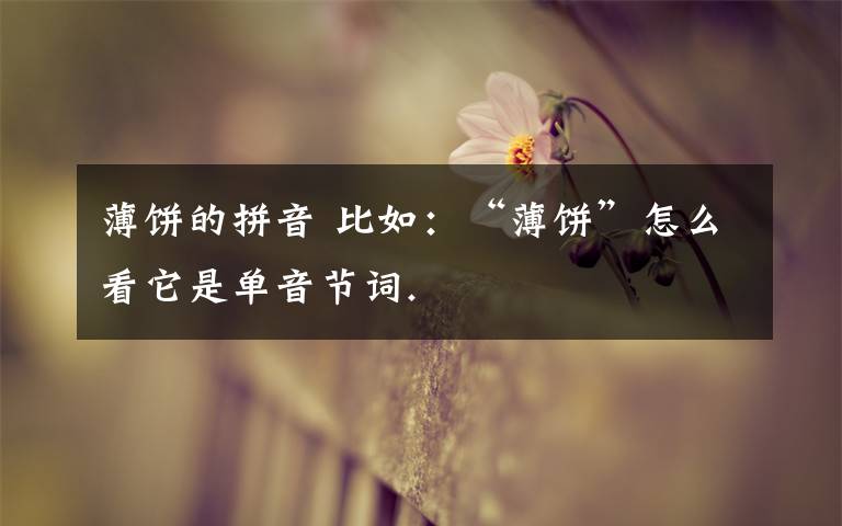 薄饼的拼音 比如：“薄饼”怎么看它是单音节词.