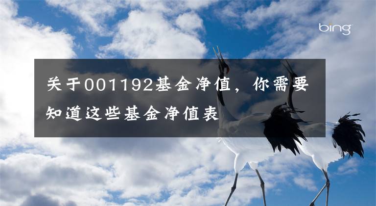 关于001192基金净值，你需要知道这些基金净值表