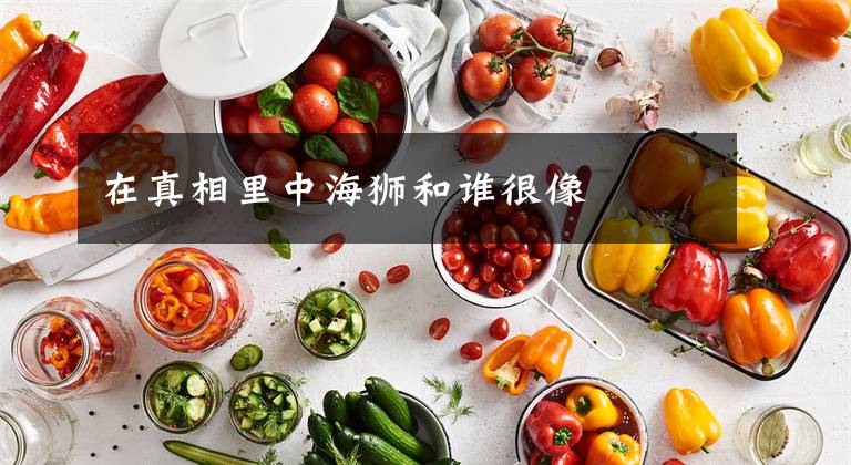 在真相里中海狮和谁很像