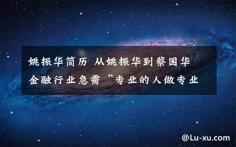 姚振华简历 从姚振华到蔡国华 金融行业急需“专业的人做专业的事”