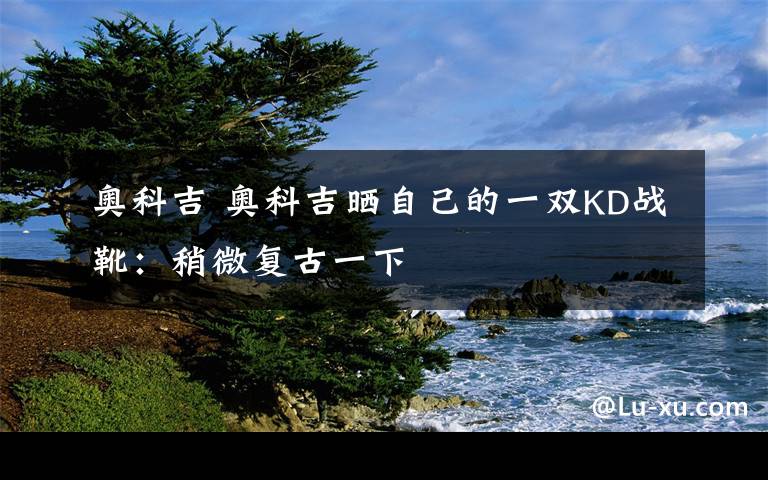 奥科吉 奥科吉晒自己的一双KD战靴：稍微复古一下