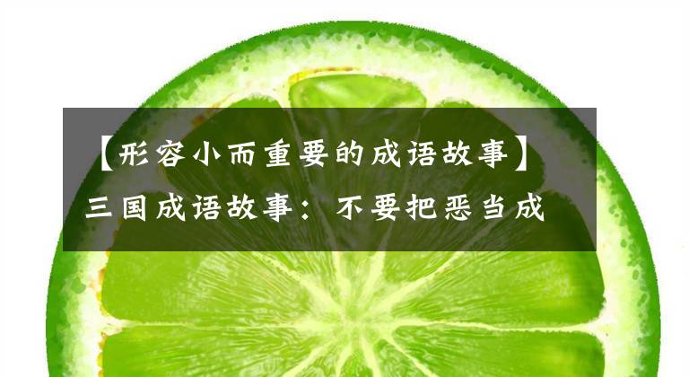 【形容小而重要的成语故事】三国成语故事：不要把恶当成小，不要把善当成小
