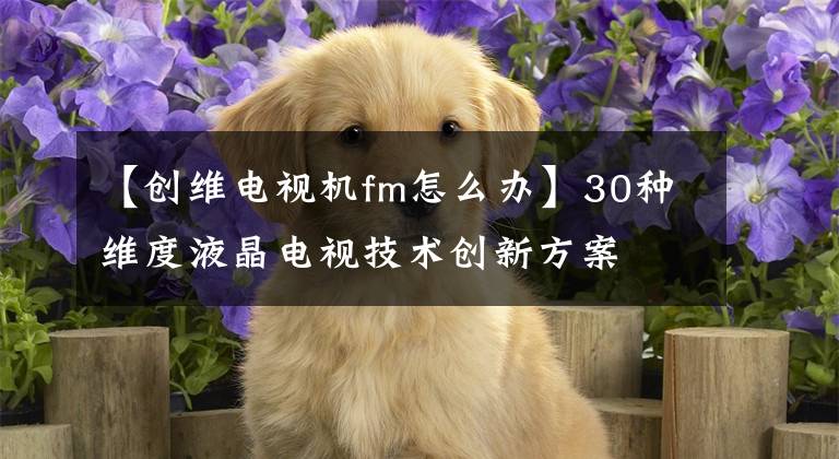 【创维电视机fm怎么办】30种维度液晶电视技术创新方案