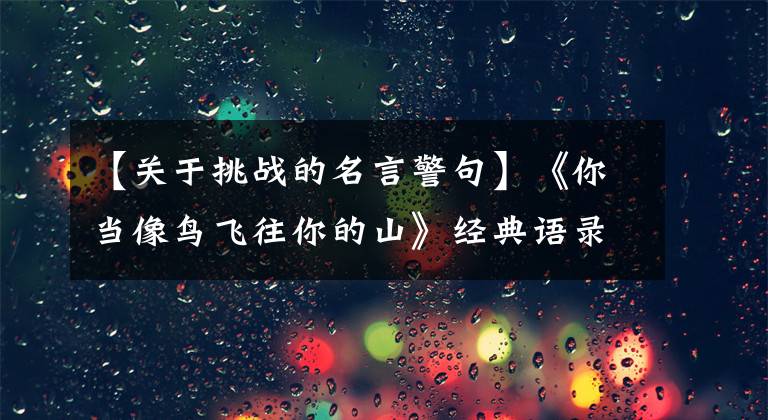 【关于挑战的名言警句】《你当像鸟飞往你的山》经典语录20句，受到鼓舞，找到真正的自我