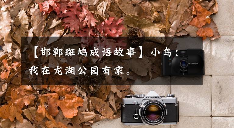 【邯郸斑鸠成语故事】小鸟：我在龙湖公园有家。