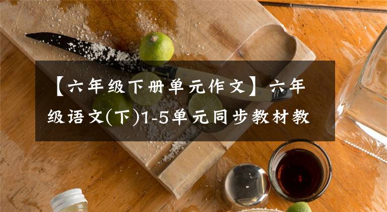 【六年级下册单元作文】六年级语文(下)1-5单元同步教材教科书特别指导写作