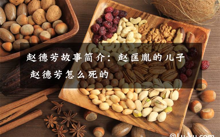 赵德芳故事简介：赵匡胤的儿子 赵德芳怎么死的