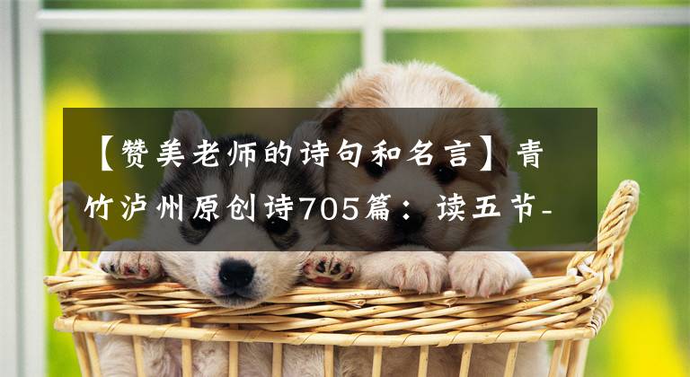 【赞美老师的诗句和名言】青竹泸州原创诗705篇：读五节-沙恩