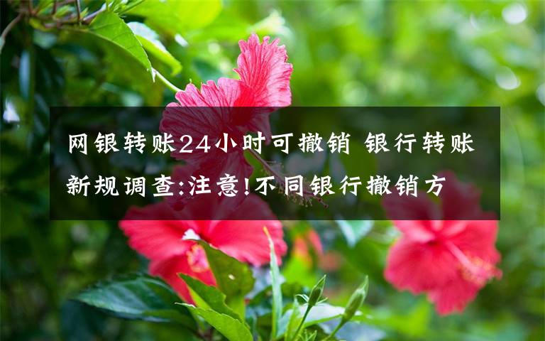 网银转账24小时可撤销 银行转账新规调查:注意!不同银行撤销方式不一样
