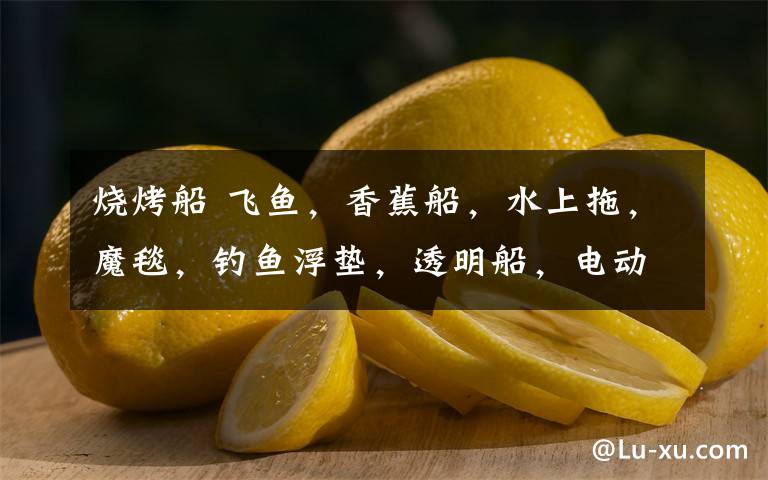 烧烤船 飞鱼，香蕉船，水上拖，魔毯，钓鱼浮垫，透明船，电动圆船，水上自行车等一大堆水上玩具