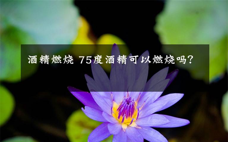 酒精燃烧 75度酒精可以燃烧吗？