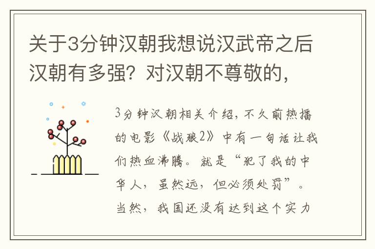 关于3分钟汉朝我想说汉武帝之后汉朝有多强？对汉朝不尊敬的，分分钟就被擒王灭国