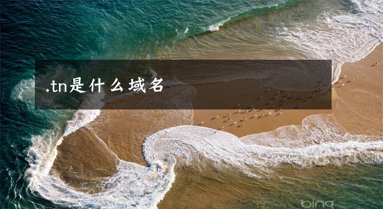 .tn是什么域名