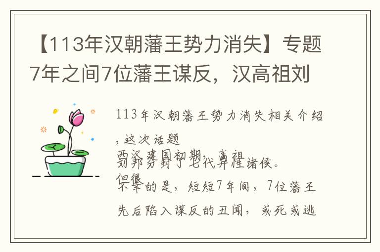 【113年汉朝藩王势力消失】专题7年之间7位藩王谋反，汉高祖刘邦效法西周分封，为何如此失败？