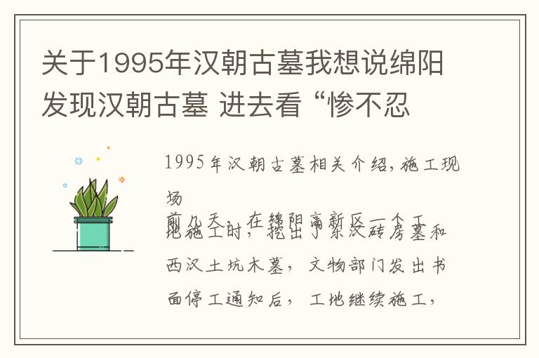 关于1995年汉朝古墓我想说绵阳发现汉朝古墓 进去看 “惨不忍睹”