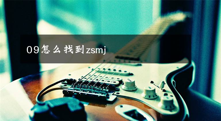 09怎么找到zsmj