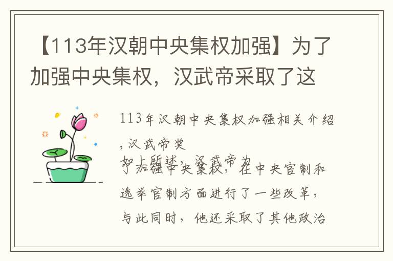 【113年汉朝中央集权加强】为了加强中央集权，汉武帝采取了这些政治改革措施！