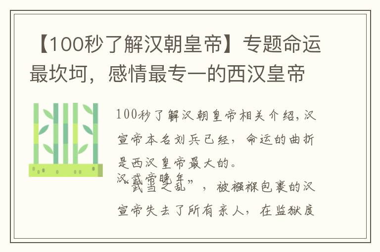 【100秒了解汉朝皇帝】专题命运最坎坷，感情最专一的西汉皇帝——汉宣帝