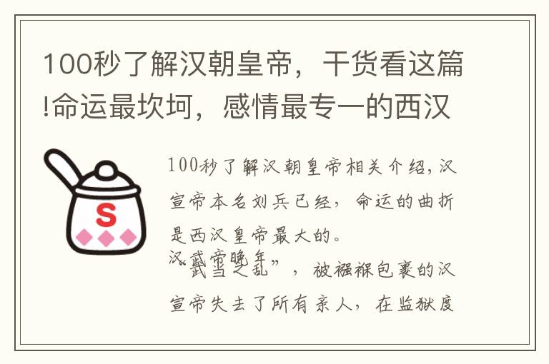 100秒了解汉朝皇帝，干货看这篇!命运最坎坷，感情最专一的西汉皇帝——汉宣帝