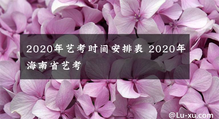 2020年艺考时间安排表 2020年海南省艺考