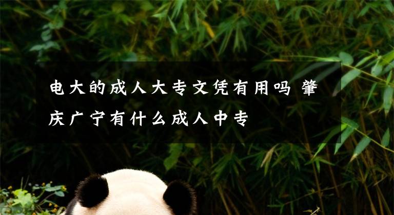 电大的成人大专文凭有用吗 肇庆广宁有什么成人中专