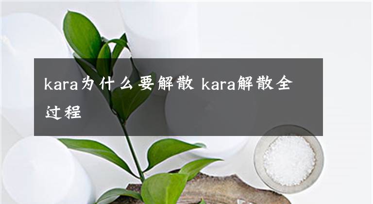 kara为什么要解散 kara解散全过程