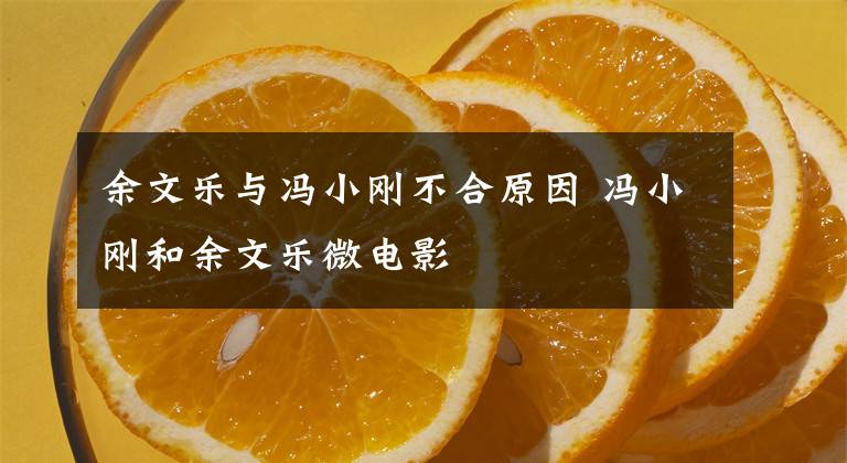 余文乐与冯小刚不合原因 冯小刚和余文乐微电影