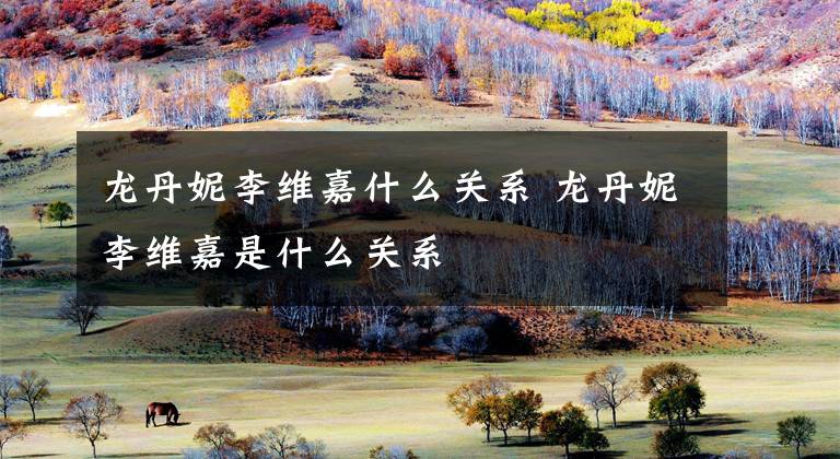 龙丹妮李维嘉什么关系 龙丹妮李维嘉是什么关系