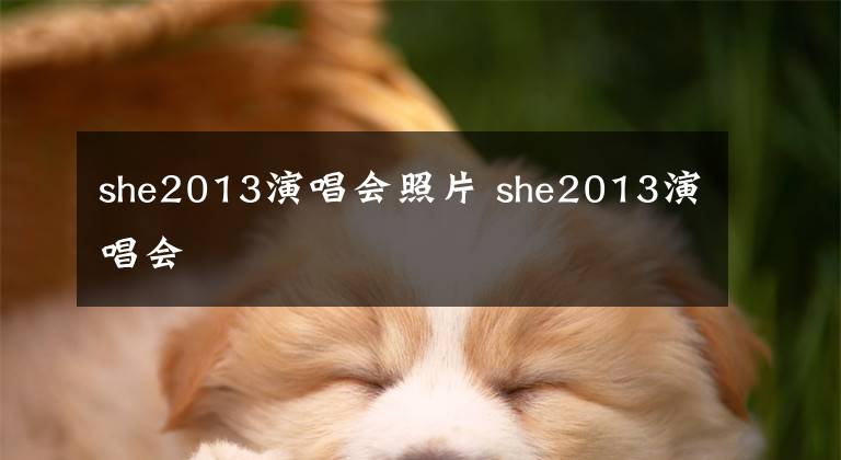 she2013演唱会照片 she2013演唱会