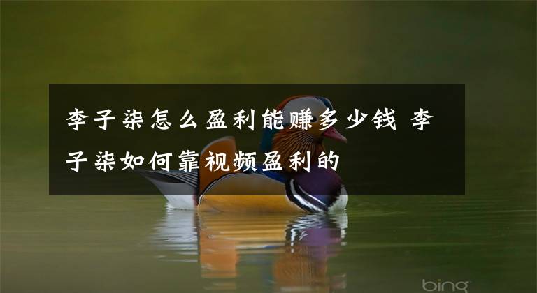 李子柒怎么盈利能赚多少钱 李子柒如何靠视频盈利的