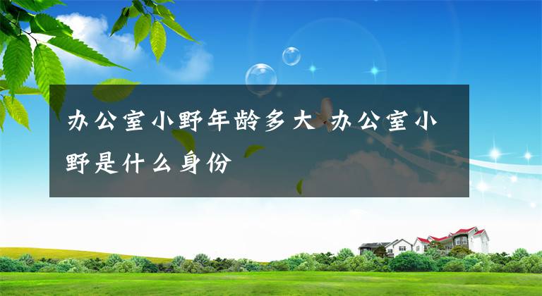 办公室小野年龄多大 办公室小野是什么身份