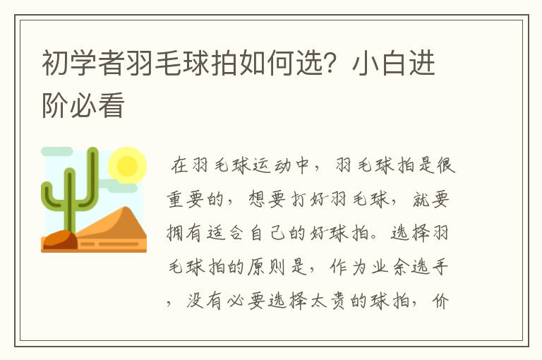 初学者羽毛球拍如何选？小白进阶必看