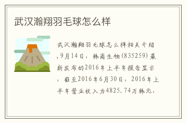 武汉瀚翔羽毛球怎么样