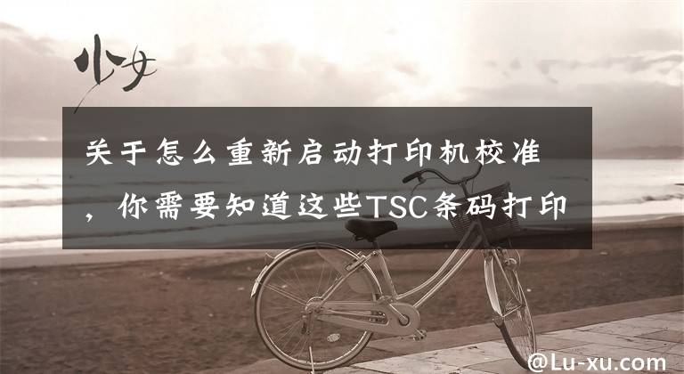 关于怎么重新启动打印机校准，你需要知道这些TSC条码打印机偏移设置怎么办？