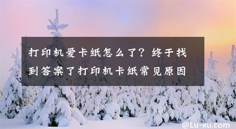 打印机爱卡纸怎么了？终于找到答案了打印机卡纸常见原因