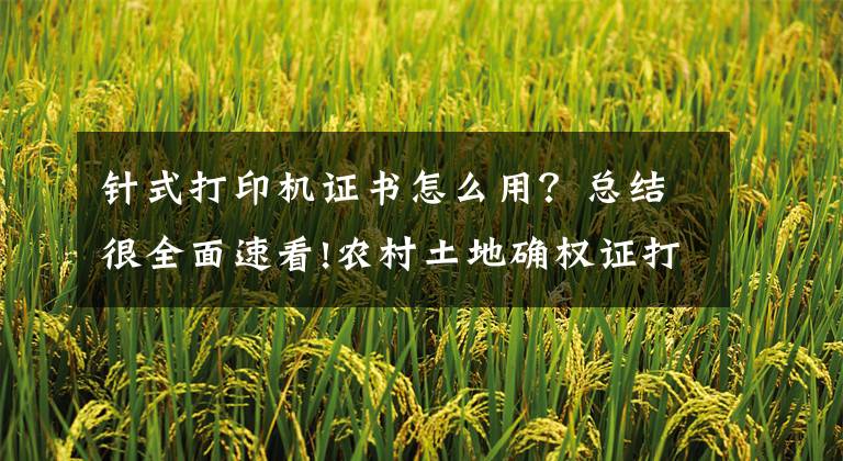 针式打印机证书怎么用？总结很全面速看!农村土地确权证打印神器 实达针式打印机BP-810K