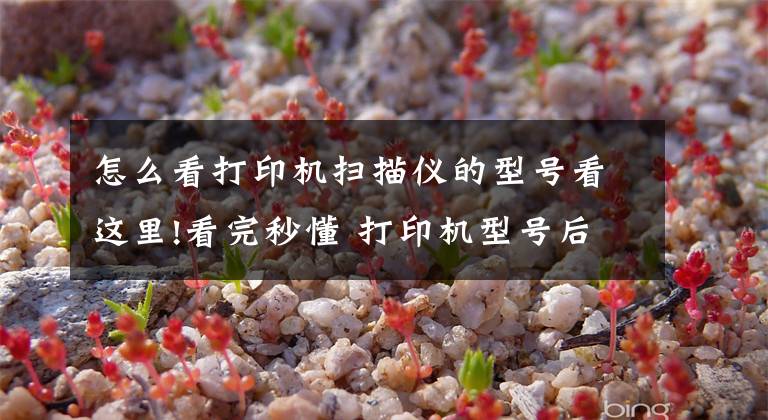 怎么看打印机扫描仪的型号看这里!看完秒懂 打印机型号后边的字母代表什么？