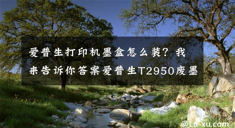 爱普生打印机墨盒怎么装？我来告诉你答案爱普生T2950废墨仓更换步骤分享