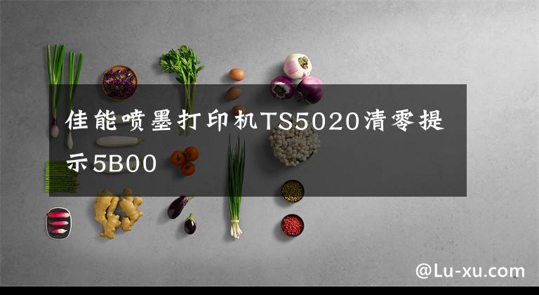 佳能喷墨打印机TS5020清零提示5B00