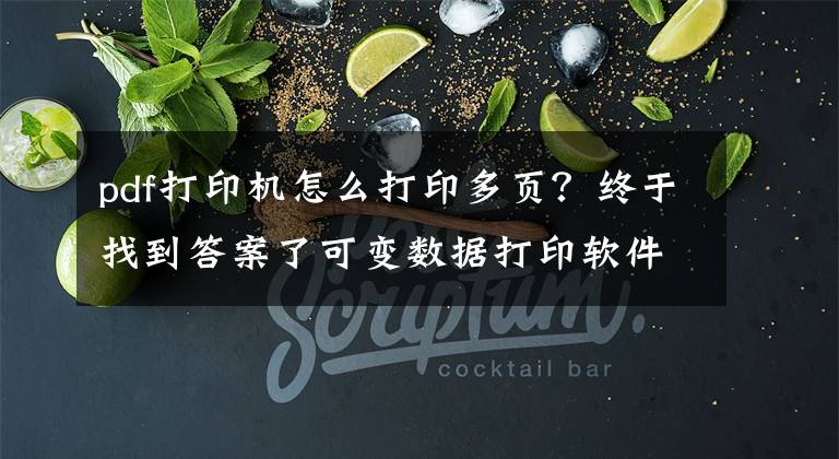 pdf打印机怎么打印多页？终于找到答案了可变数据打印软件如何添加多页PDF文档图片