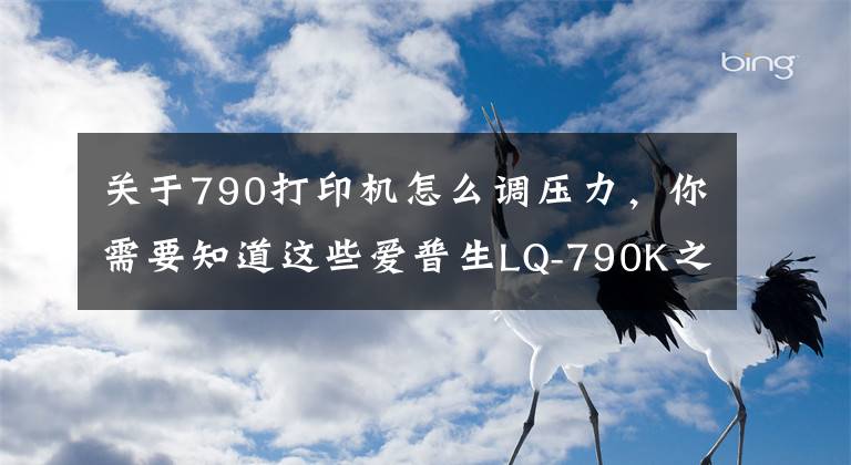 关于790打印机怎么调压力，你需要知道这些爱普生LQ-790K之勇攀人生的高峰