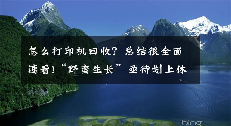 怎么打印机回收？总结很全面速看!“野蛮生长”亟待划上休止符 废弃电器电子产品回收立规矩