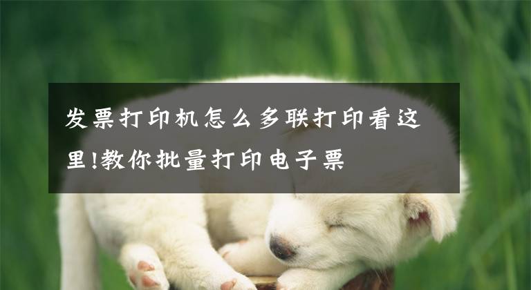 发票打印机怎么多联打印看这里!教你批量打印电子票